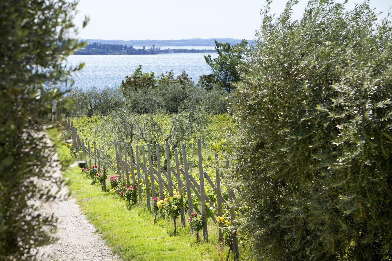 فيلا Agrigturismo Monte Cicogna Moniga del Garda المظهر الخارجي الصورة