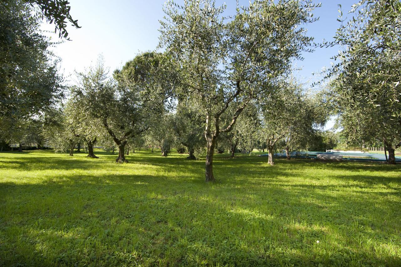 فيلا Agrigturismo Monte Cicogna Moniga del Garda المظهر الخارجي الصورة
