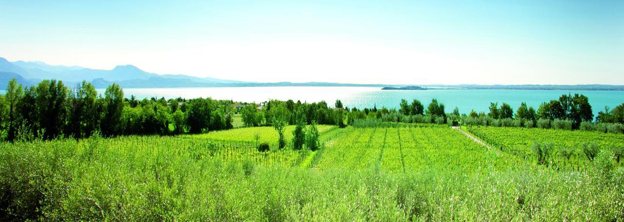فيلا Agrigturismo Monte Cicogna Moniga del Garda المظهر الخارجي الصورة